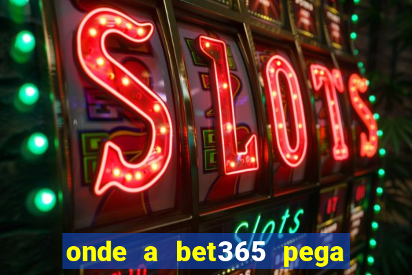 onde a bet365 pega as estatisticas